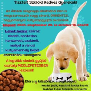 Kutyatáp gyűjtő akció