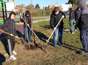 Fát ültettek végzős diákjaink