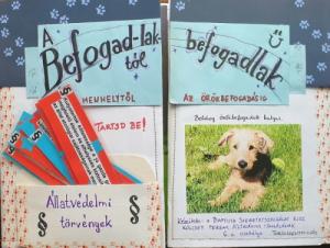 A 6.a osztály által készített lapbook 2. helyezést ért el  - siker az Állatvédelmi Témahét pályázatán