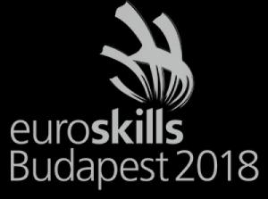 Pályaorientciós napon a Kölcseysek - EuroSkills verseny