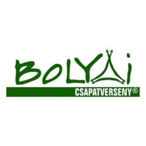 Bolyai Anyanyelvi Csapatverseny megyei forduló
